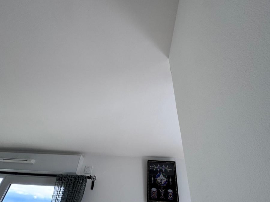 WhatsApp Image 2026-03-10 at 12.23.57